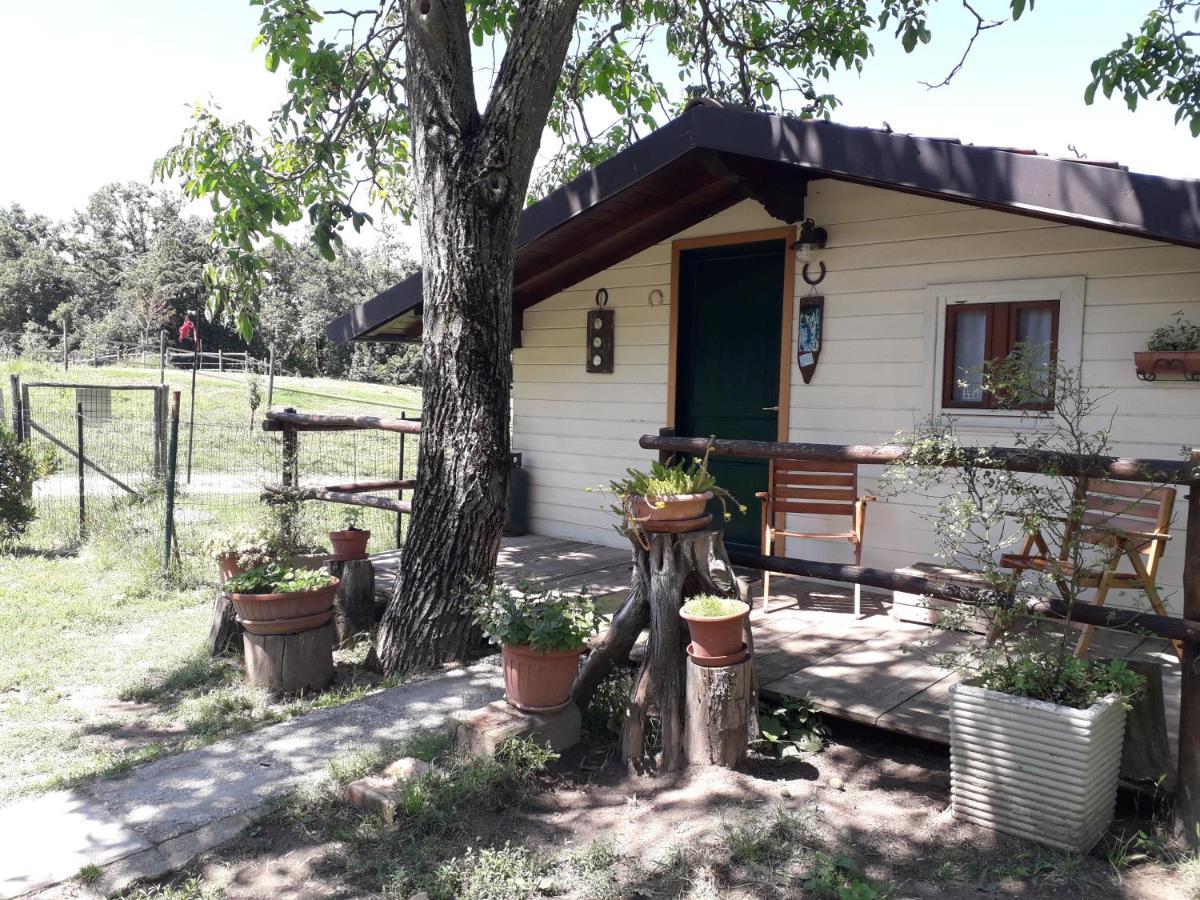 Il Casalino Bed and Breakfast Pianoro Eksteriør billede
